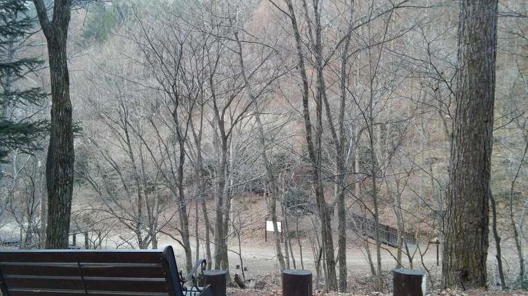 211A203F56D7BD0025A13F