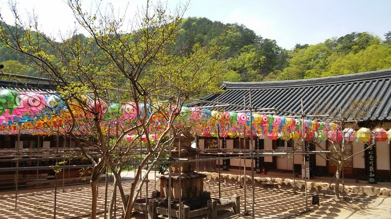 2505534A58FFC362385415