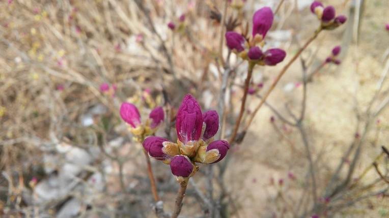 227B843E56FC8D6B0D2E19