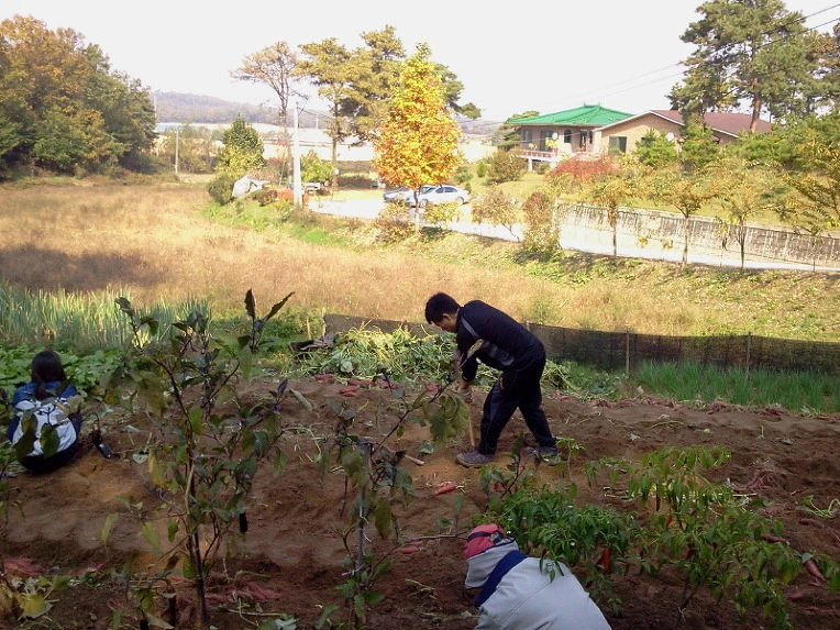 253F293C542418591E3471