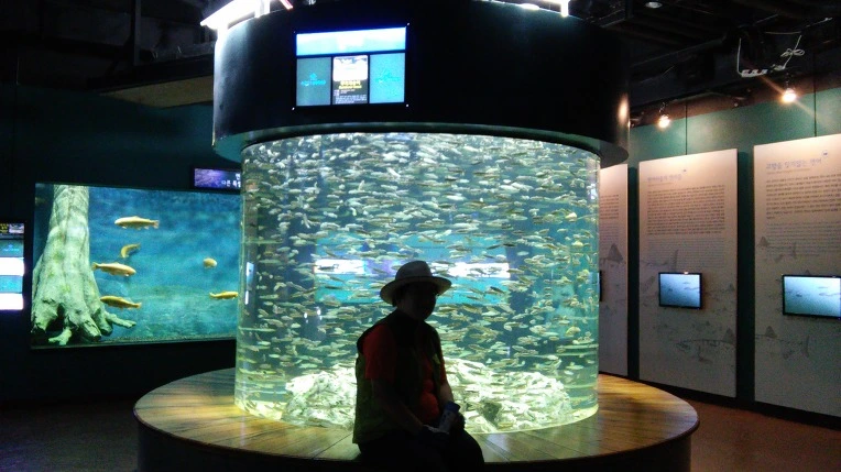 270DD53C593C761A3435AD