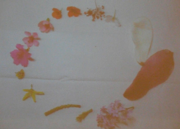 237FBA3C56FA721C169E76