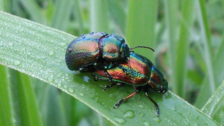 2232EE405770717E1F28CB