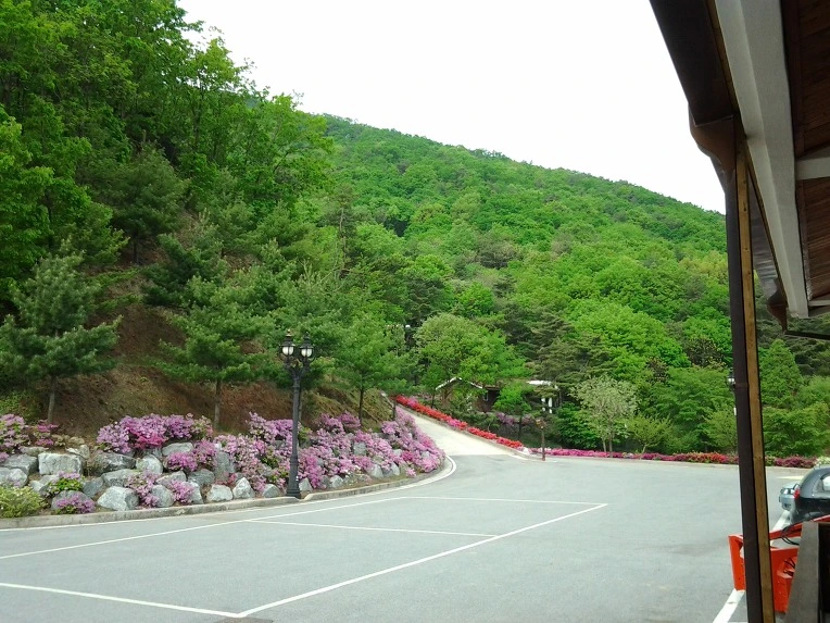 2344FD455191DC192E32F9