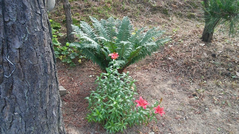 2418FB35575A1F04062CBB