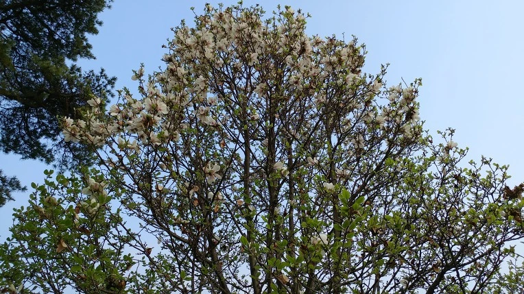 994A9F485CF612ED1C1178