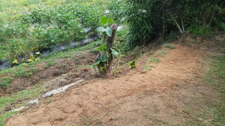 2706B44957CA234413F6CF