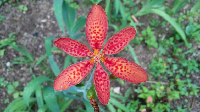 999D74335984FD4B205E72