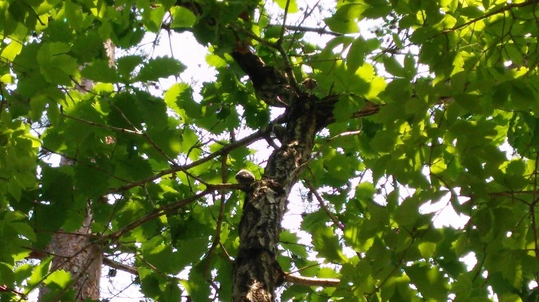 230C9338592B40D71FCB4F