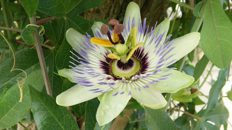 2333C64457D21C5F309CAB