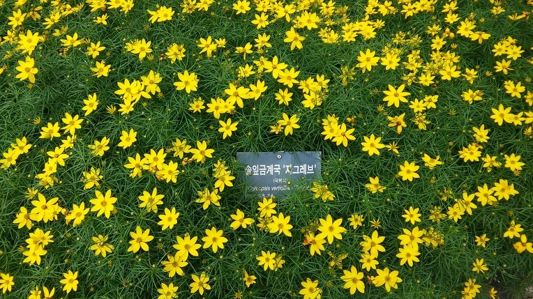 2640D743576A346C25FDD7