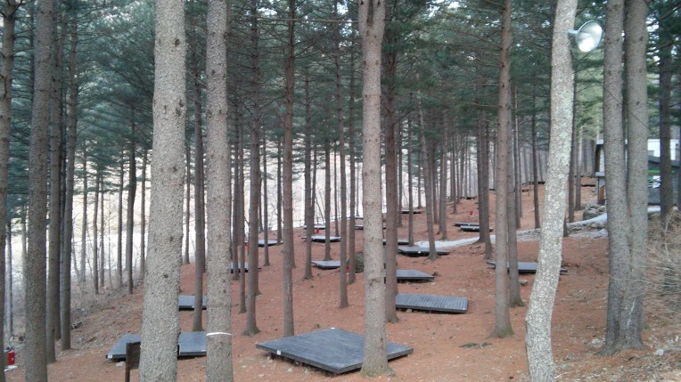 2224324856DA7C3B1AFBB7