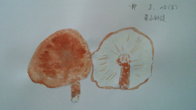 9998163359A1F6511C2C3C