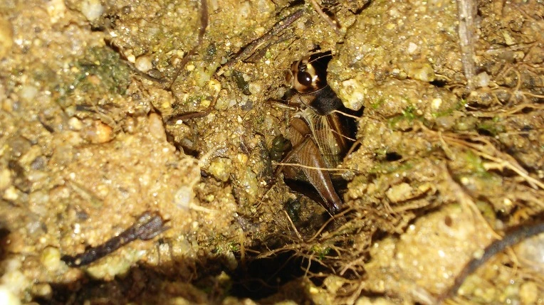 2317F45057D21A4D0F5A02