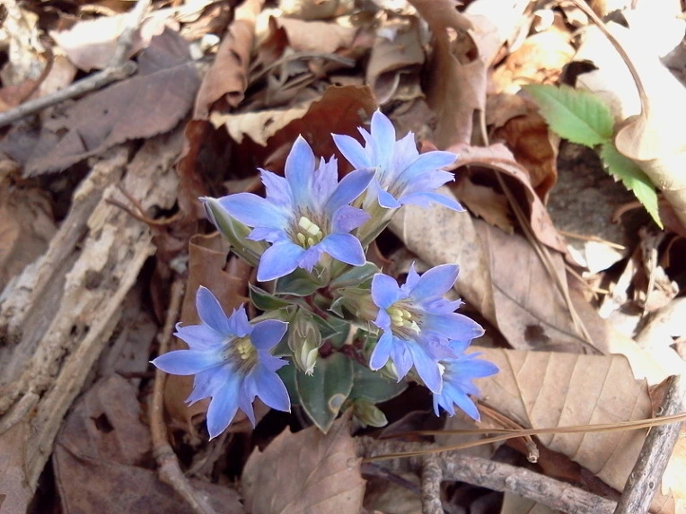 181658424DBF9FDE0AFD2C