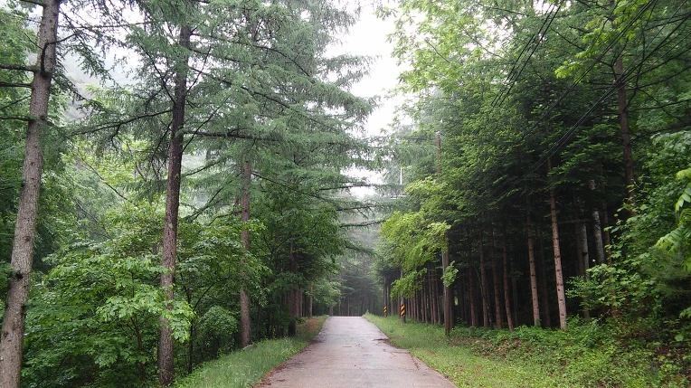 213F86475924D6E40EF55F