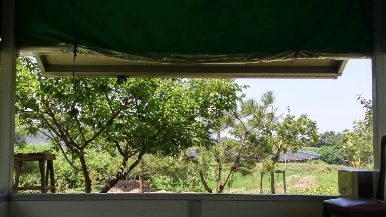 21514C3B57919E7D425F29