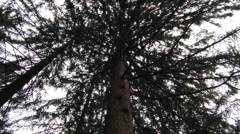 2765143C56EB9BBB1A7614