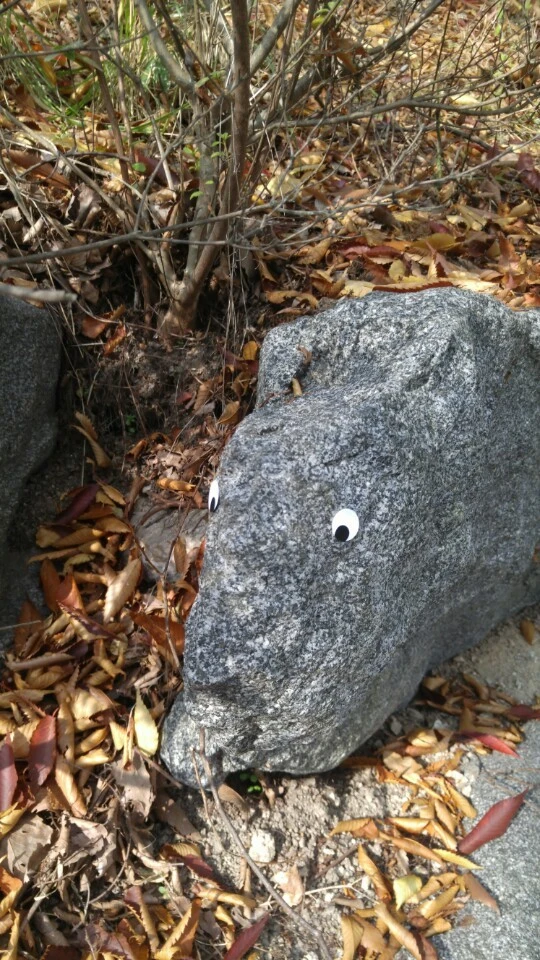 243CCA39562A9F9309BC10