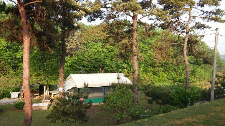 2606B135572E6752219A02