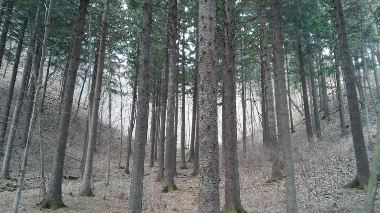 27244C3C56F3914E23B0A0