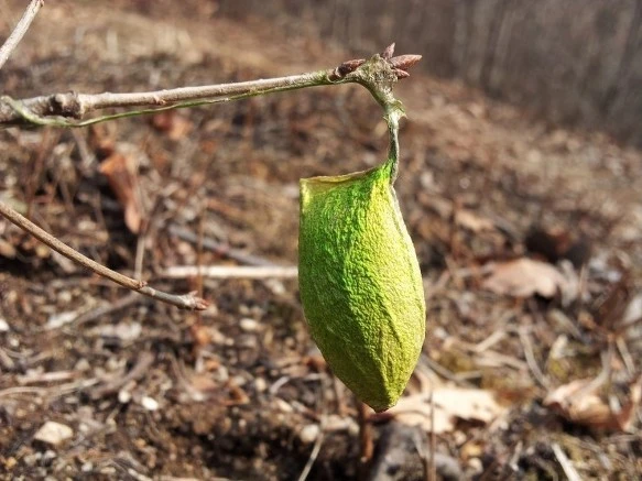 26121A48585A74951B3BA7