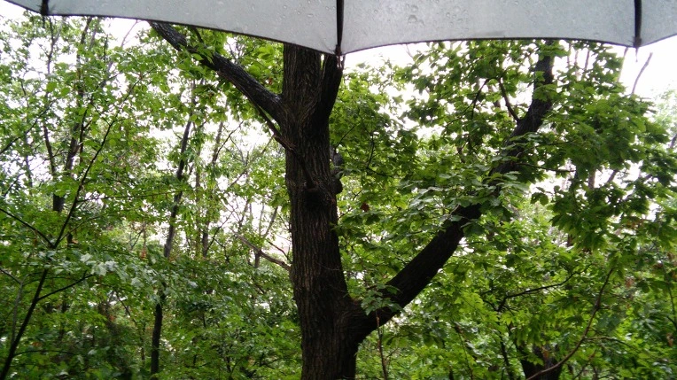 2155FF4C5731182721A794