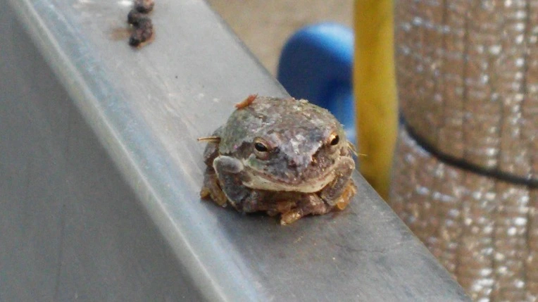 232FE6505771F405118E6B