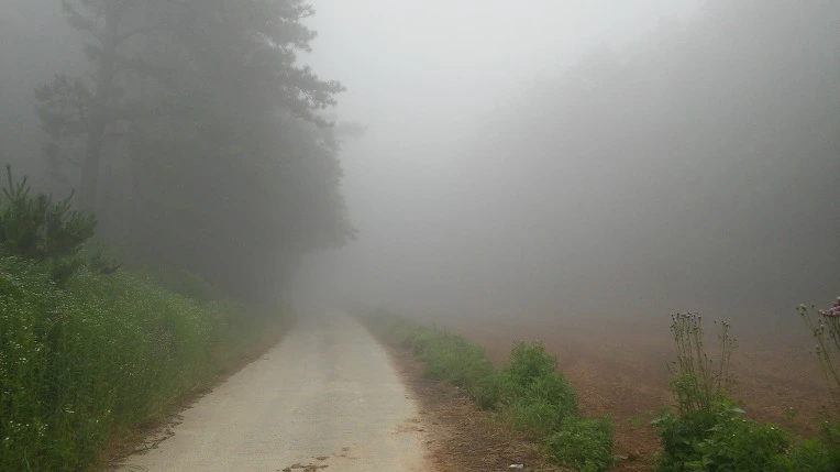 241813335747BA2C0C5DD8