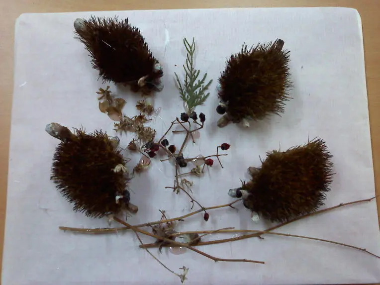 11045D494D54B790219055