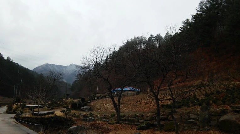 254E9B3E58D70B91364DF4