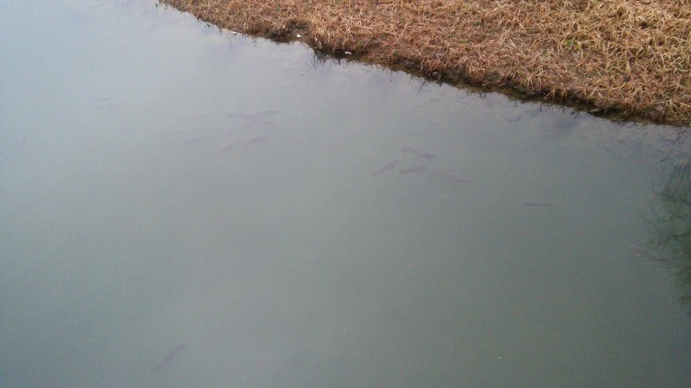 2648DF495869CDAD29D791