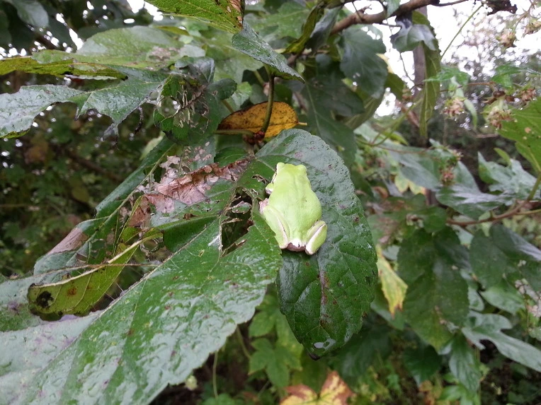 2447394A56B0265037E849