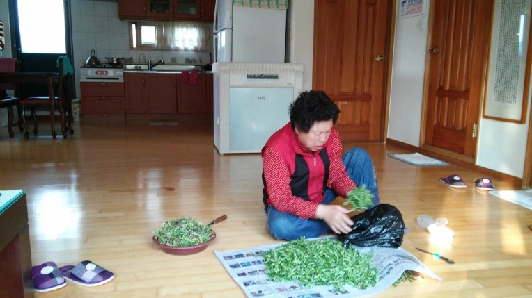 257521425714A18230E5D6