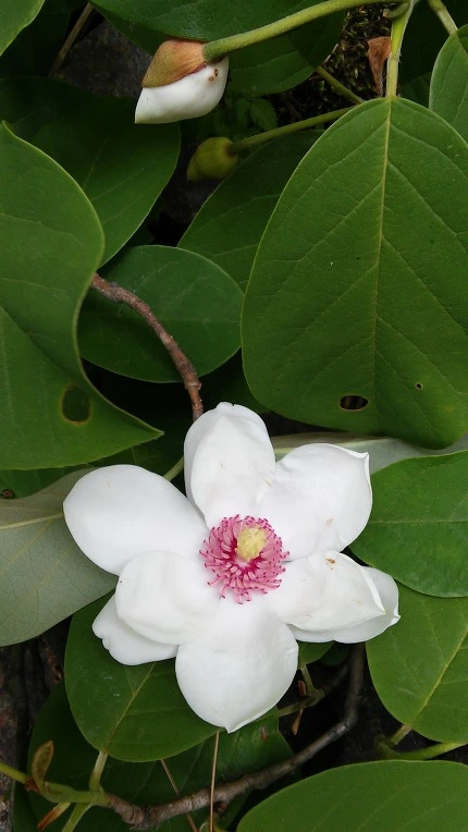 2614F938592B40DC1F532D