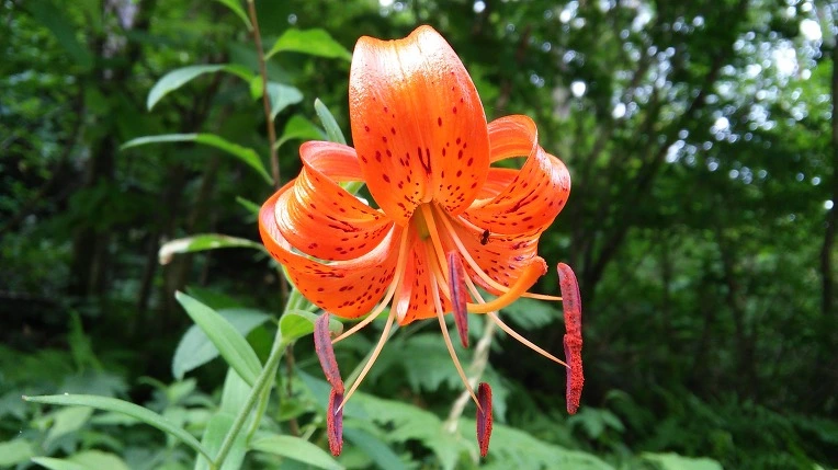 235F394759557B95218F5B