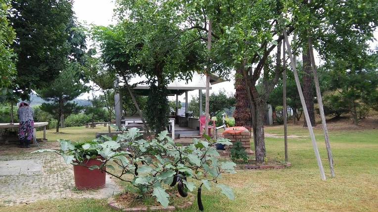 254DD23857B9209E1A7F55