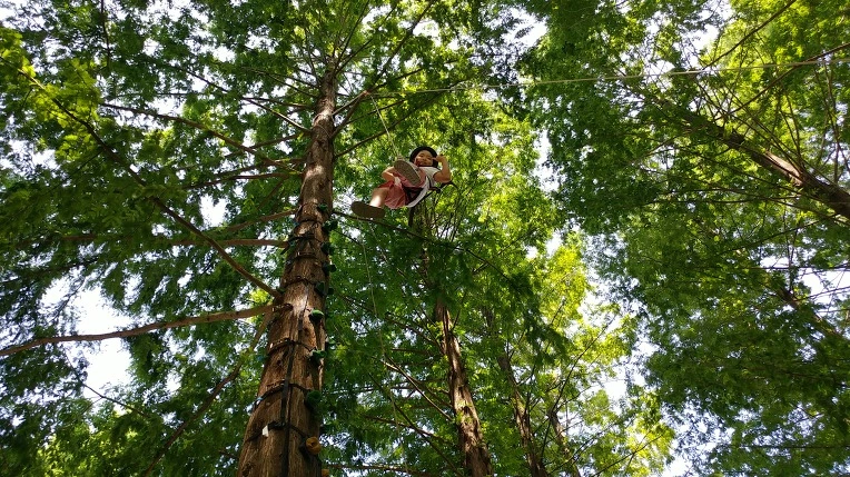 99C5BD415B57BF931FFBB7