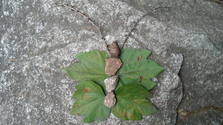 2315E540560FBBFF1FD0BD