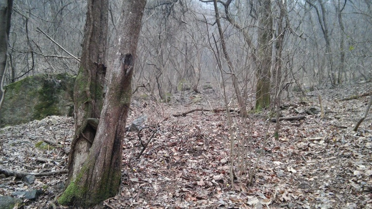 2523624456D1084A352538