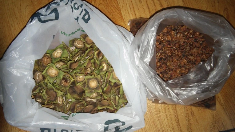 23615748597137100A768B