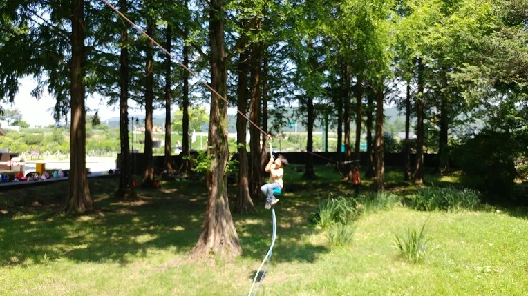 991FFA505B57C2411721E9