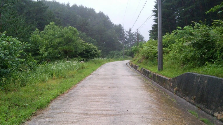 25637F3A59596CF61DA71C