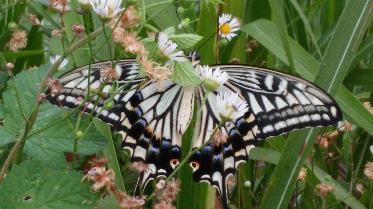 2355884257AA8BF52B1E0B