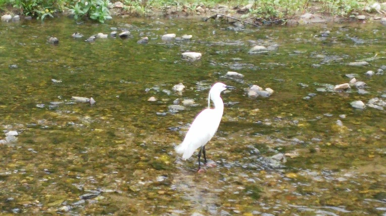 276D8048572561BC31267E