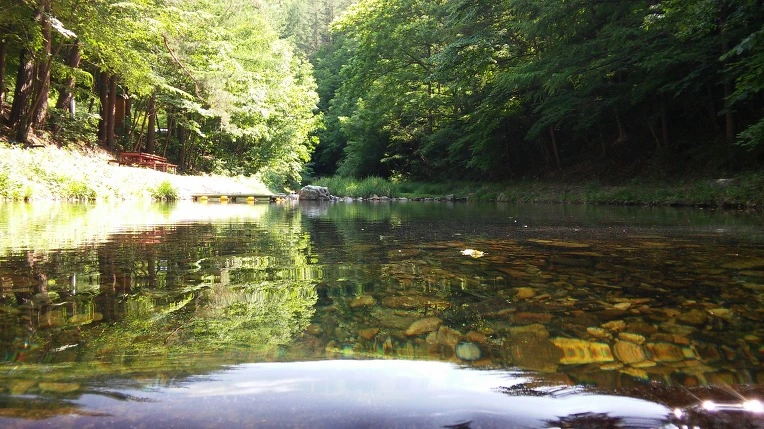 225EEA3859445C4E04EF0F