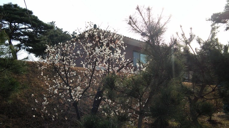 212E034256FC8CEB060BF3