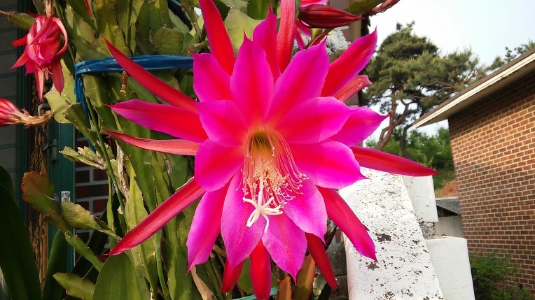 2716063D5745883D289092