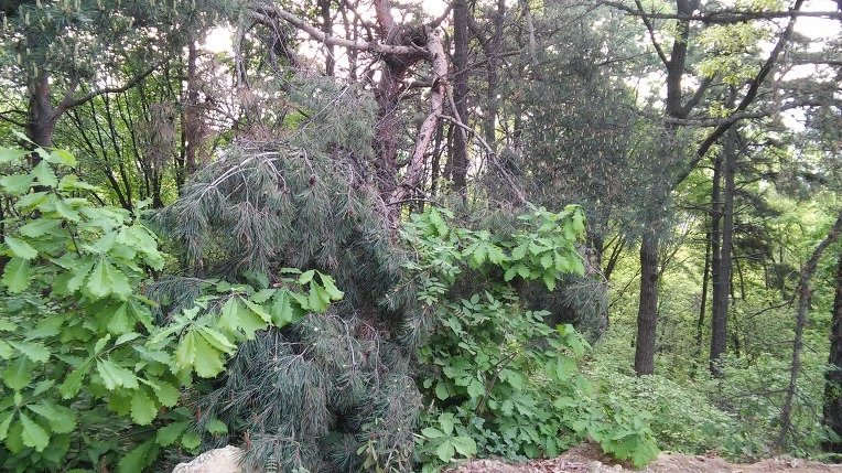 25118949572696F915C3BC