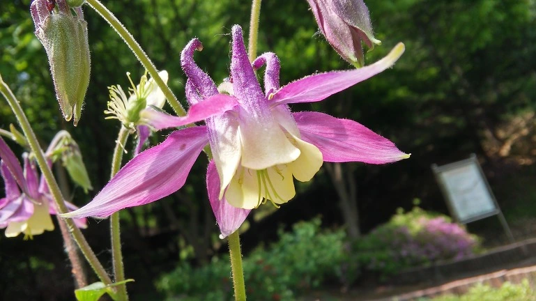 254DA63E564EB24503D57D